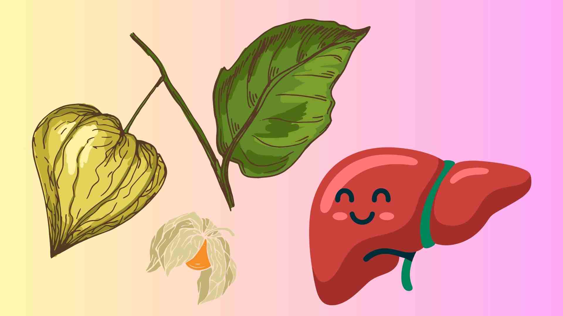 Important notes when using a striker to effectively support heating and detoxification