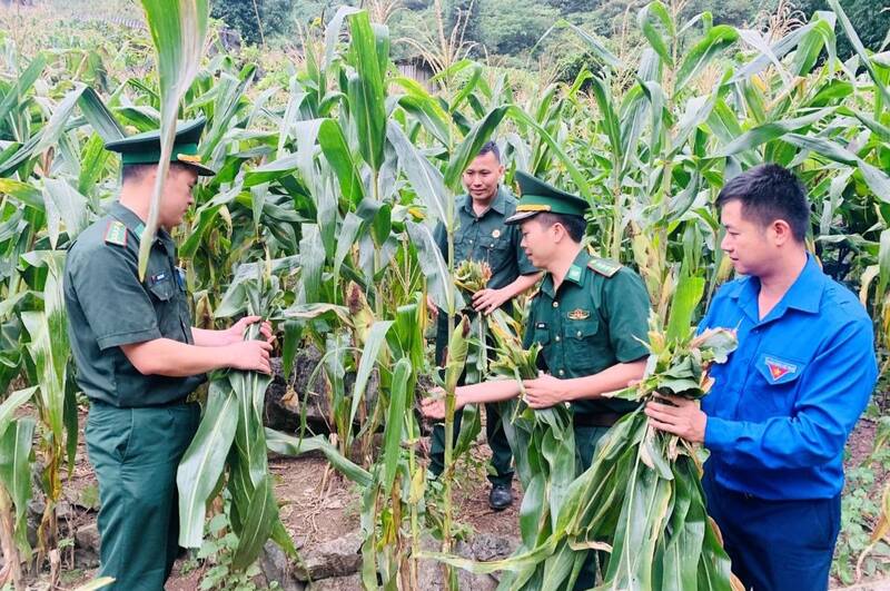 Bo doi Bien phong Tung Vai ho tro nguoi dan phat trien kinh te. Anh: Hoang Chinh