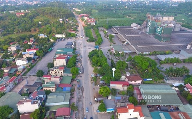 Phú Thọ sắp có nhà máy gỗ 100 tỉ đồng giáp Hà Nội