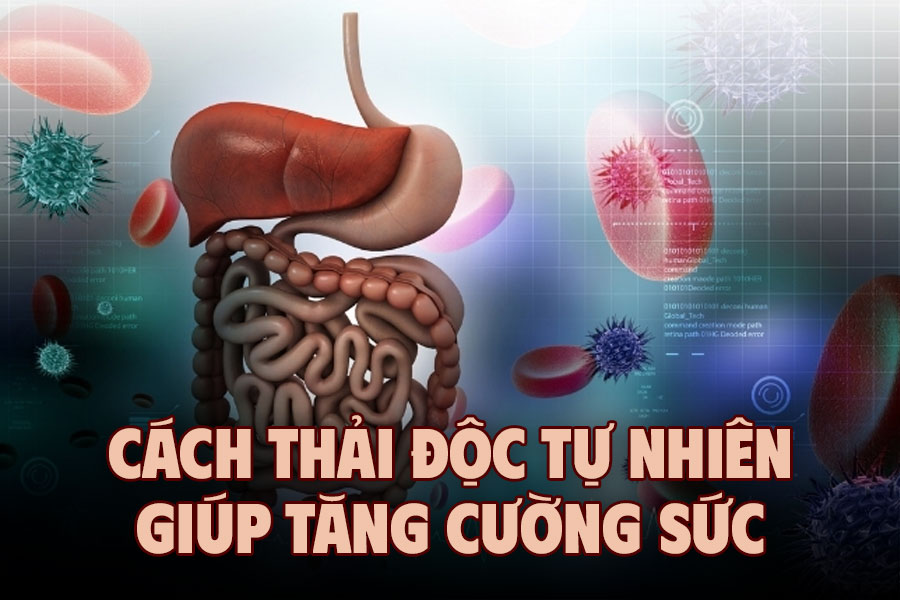 全体的な健康を増進する自然な解毒方法