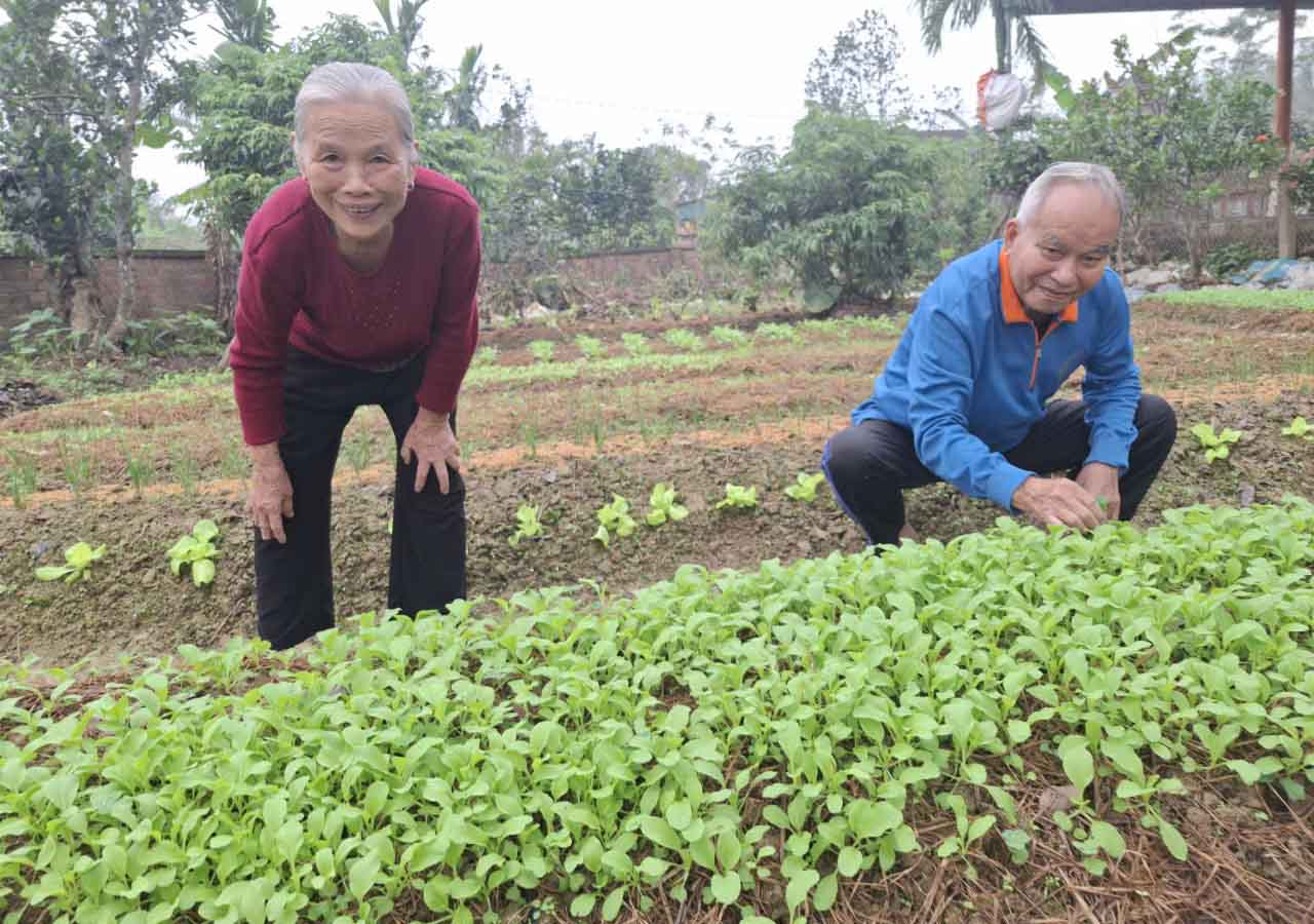 Vo chong ong Than o xa Cam Due ben vuon rau moi trong lai sau lu lut. Anh: Tran Tuan.