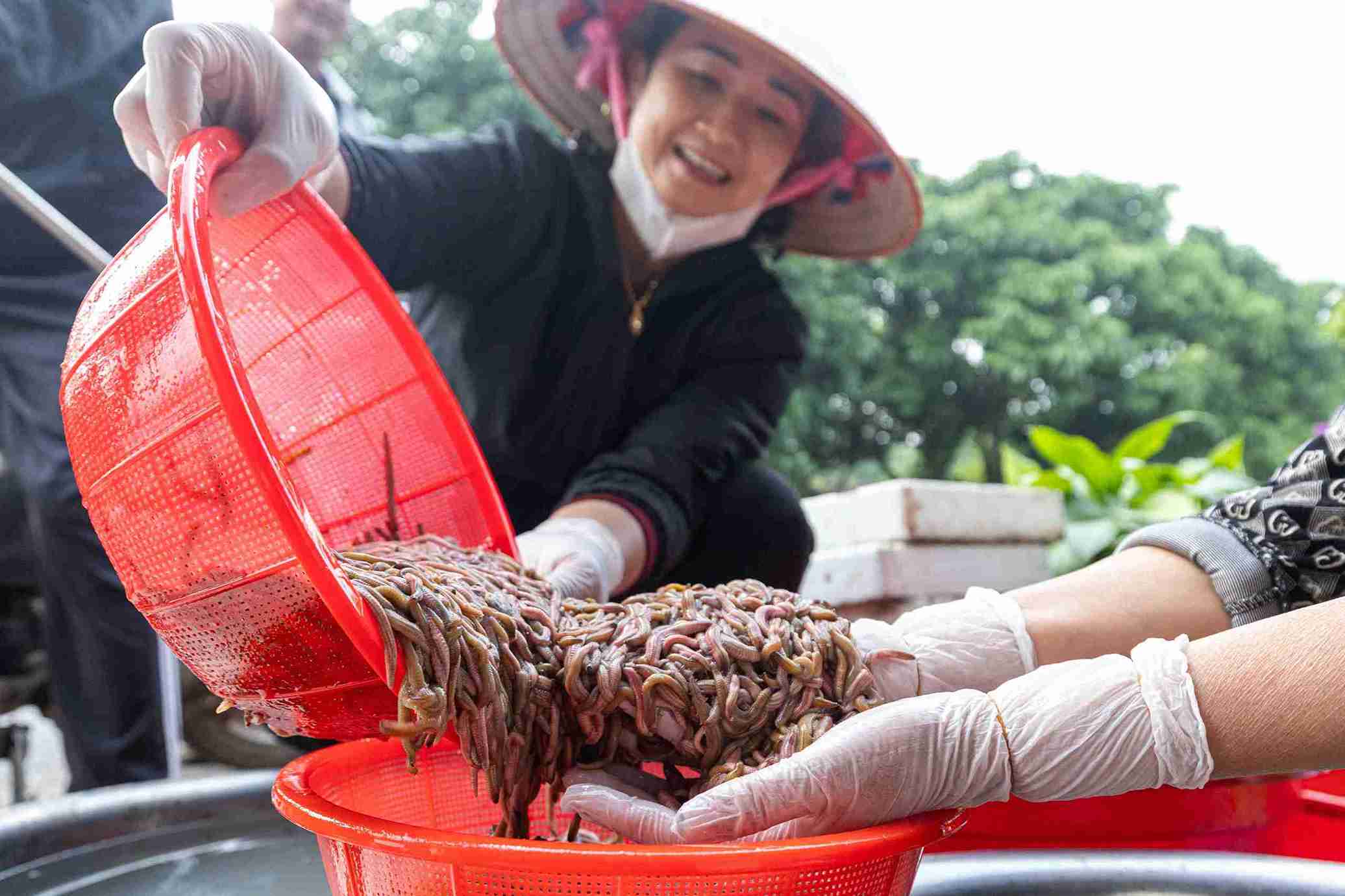 El campo de ruoi ha sido renovado en una direccion natural y respetuosa con el medio ambiente. Foto: Mai Huong