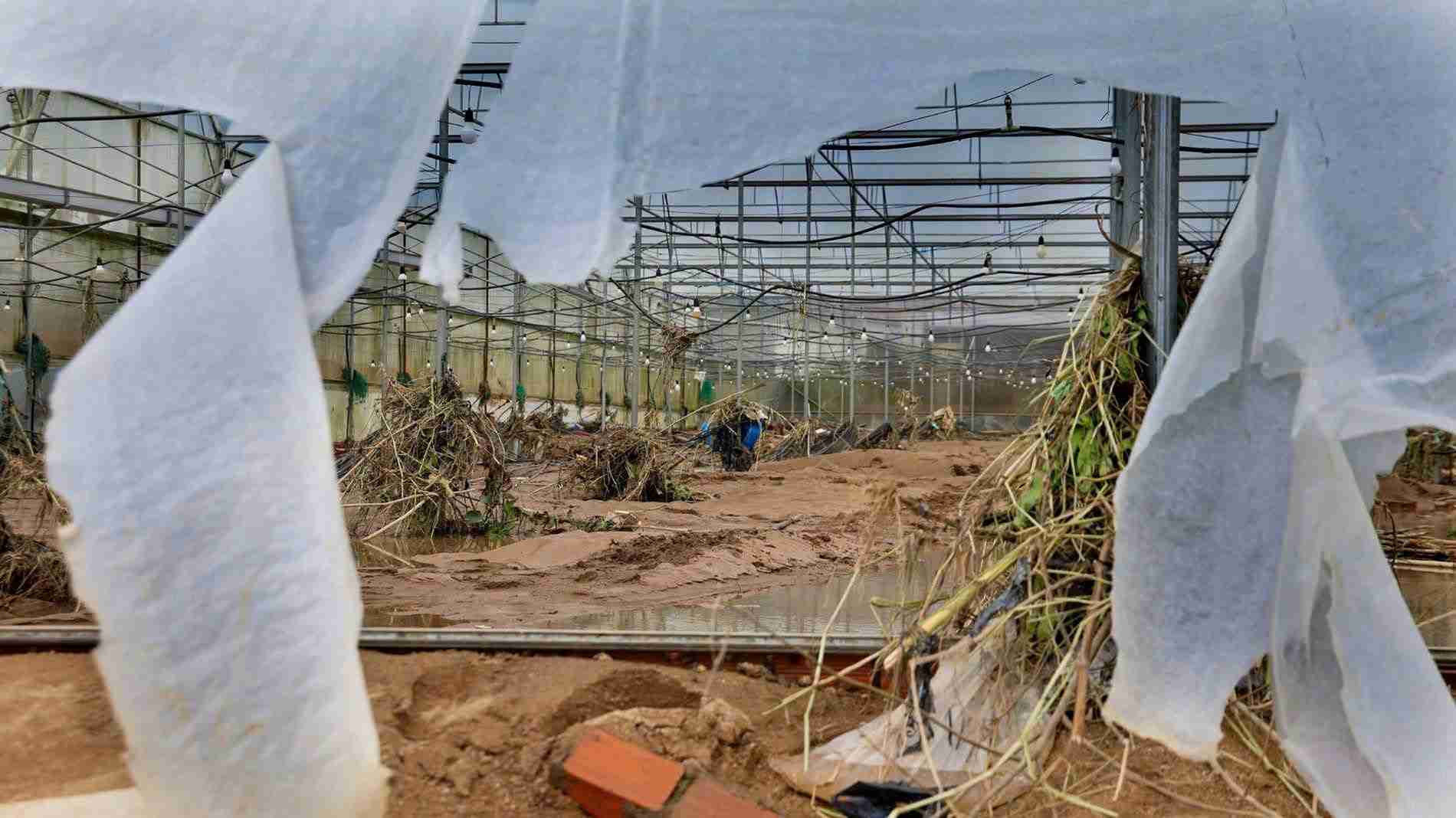 Nha kinh trong rau cua nguoi dan tai cac vung chuyen canh rau xanh o Lam Dong tan hoang sau mua lu. Anh: Phuc Khanh