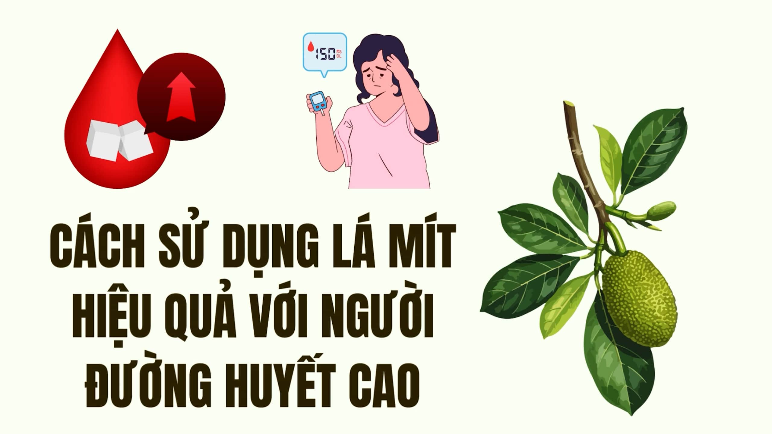 How to use jackfruit leaves effectively for people with high blood sugar