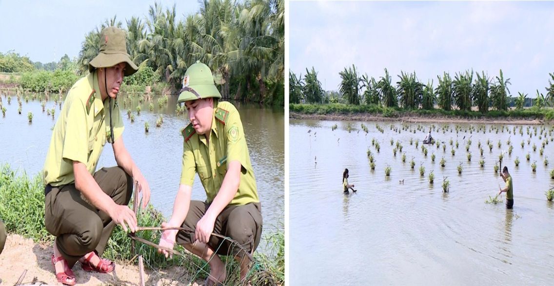 Thu gom bay bat chim hoang da. Anh: KLTH