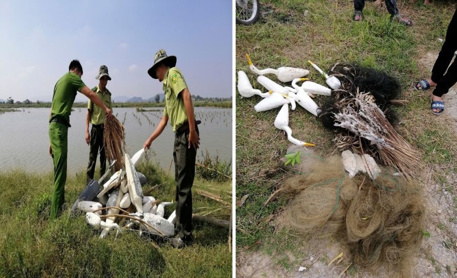 The demons use nets and storks to trap wild birds in Quang Phu Ward. Photo: Thanh Hoa Forest Ranger
