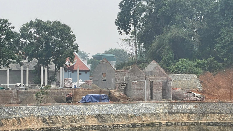 Cac hang muc dang trong qua trinh tu bo. Anh: Dinh Dai