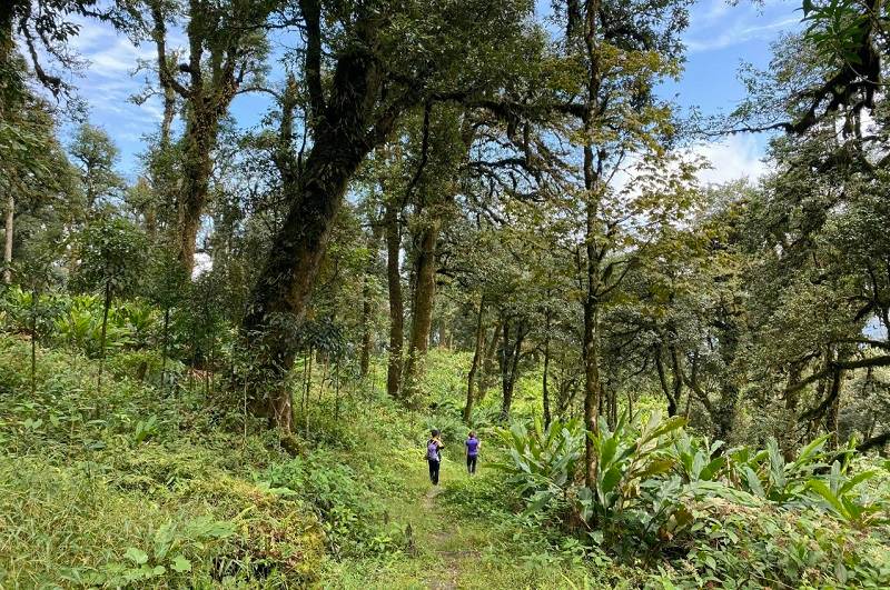 Lao Cai phat trien du lich sinh thai gan voi bao ve moi truong. Anh: Ngoc Quyen/doingoailaocai.vn
