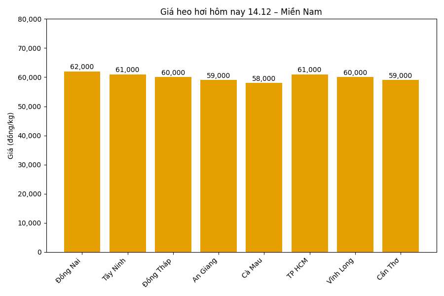 Gia heo hoi hom nay 14.12 tai khu vuc mien Nam. Do hoa: Thuy Linh.
