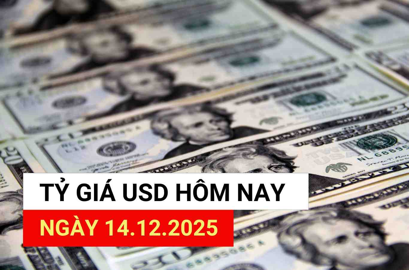 USD exchange rate today, December 14: Upcoming forecast for USD