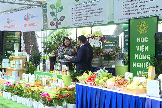 Spreading the spirit of scientific research and innovation in education