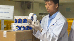 Vietnam's African swine fever vaccine and international export problem.