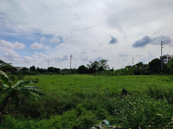 多くの住民が農地の一部を住宅地に転換する手続きについて尋ねています。写真: Xuyen Dong