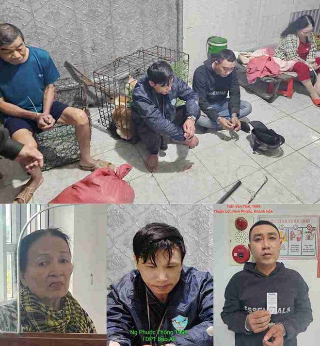 Triệt phá đường dây trộm chó liên tỉnh, bắt giam 3 đối tượng ở Khánh Hòa Triệt phá đường dây trộm chó liên tỉnh, bắt giam 3 đối tượng ở Khánh Hòa