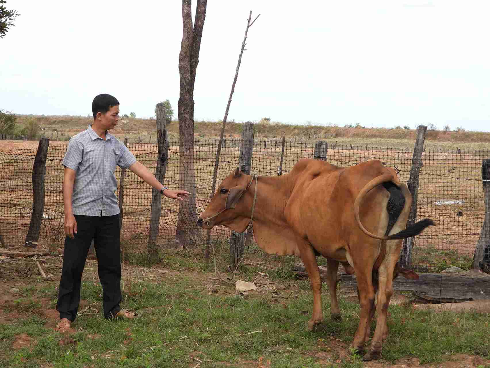 Ong Luong Van Nga - Bi thu Chi bo thon Dung Nhap theo doi suc khoe bo sinh san cua nguoi dan tren dia ban. Anh: Bao Trung