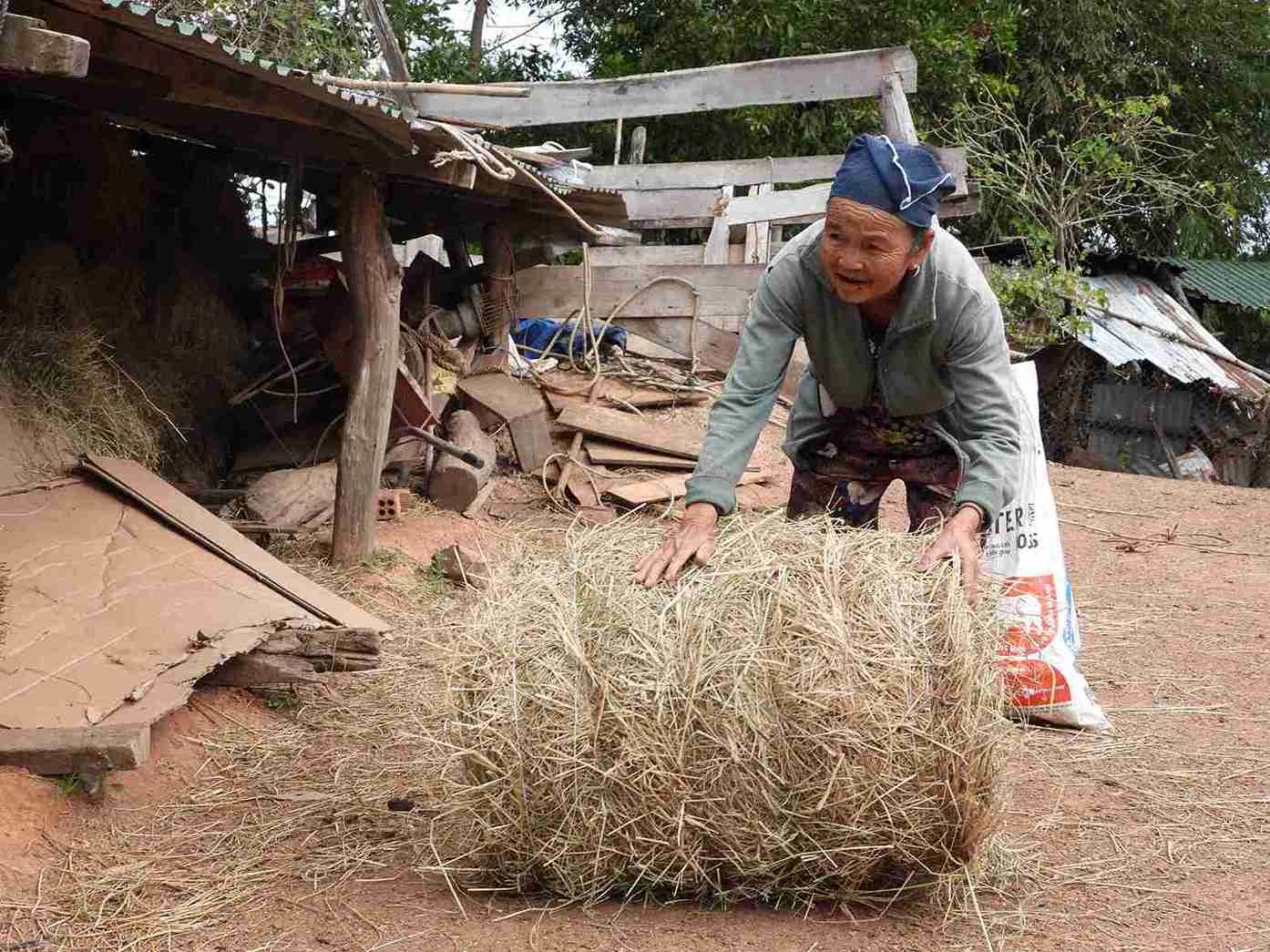 Nhieu nguoi dan trong xa da co sinh ke ben vung. Anh: Bao Trung