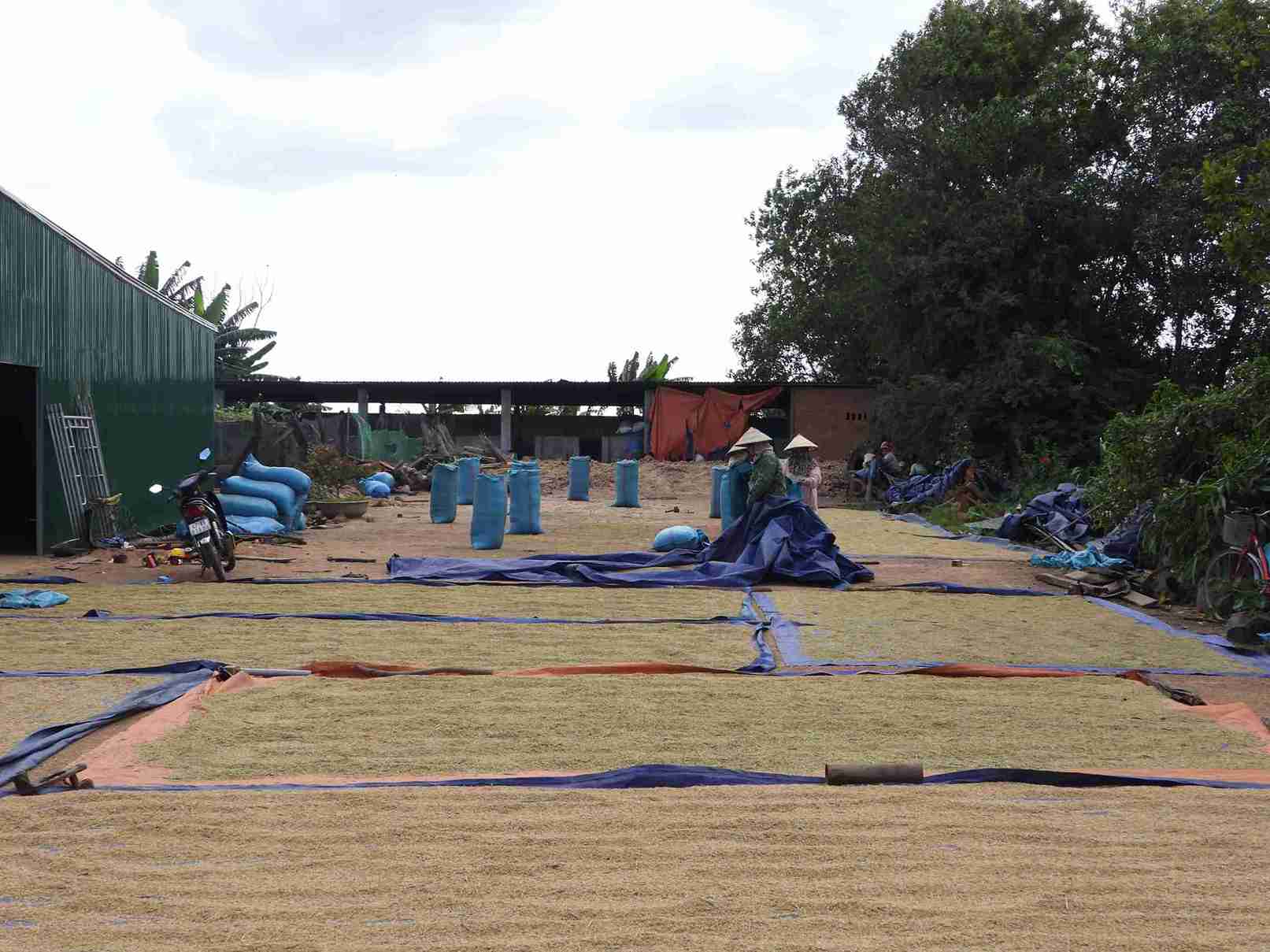 Nguoi dan thon dong bao dan toc thieu so o xa lao dong san xuat. Anh: Bao Trung