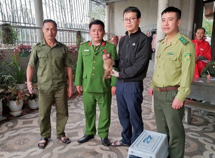 Ca the khi moc duoc ban giao cho luc luong chuc nang. Anh: Trung tam Cuu ho, Bao ton va Phat trien sinh vat thuoc Vuon quoc gia Phong Nha - Ke Bang