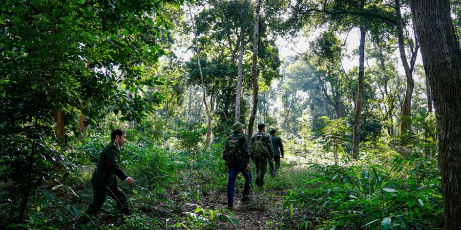 Can bo Hat kiem lam khu vuc I thuong xuyen ket hop voi chinh quyen dia phuong cac xa va cong an, quan su de tuan tra, kiem tra bao ve rung. Anh: tuyenquang.gov.vn