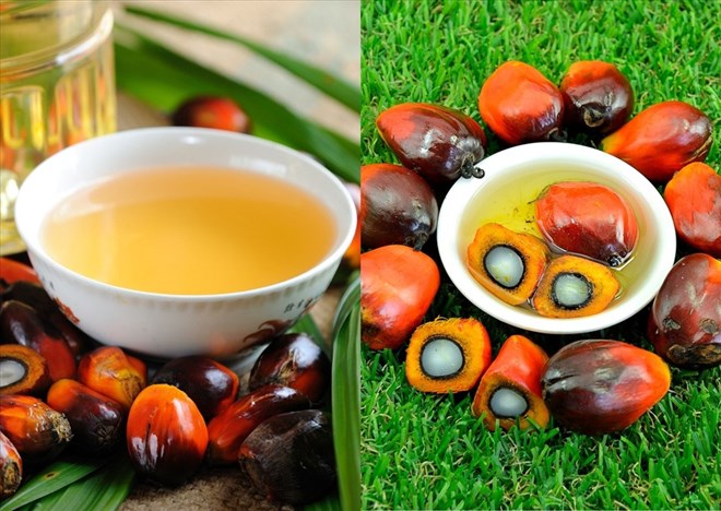 Experts point out that palm oil is cholesterol-free and does not cause heart disease if consumed in moderation in the daily diet. Graphics: Doan Hang