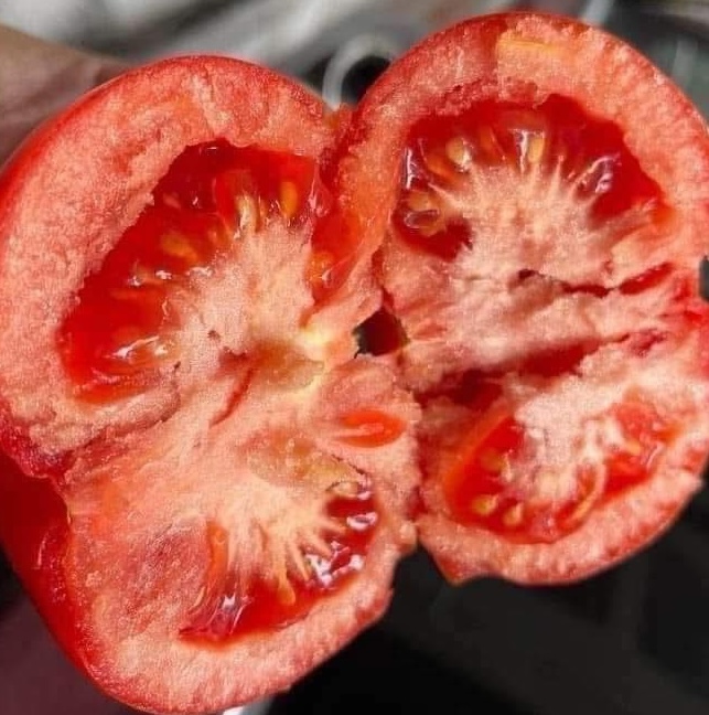 People with sinusitis should be careful when eating tomatoes regularly. Photo: Kieu Vu