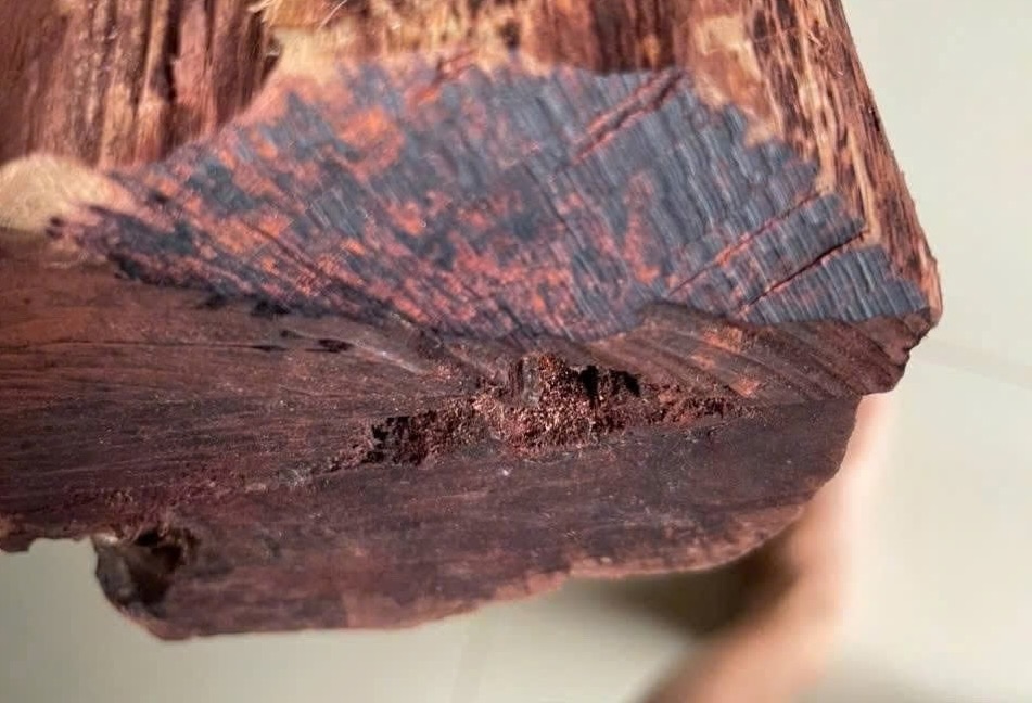 Man Dia wood. Photo: Thanh Van