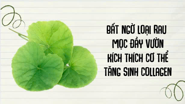 Unexpected vegetables growing in the garden stimulate the body to increase collagen production