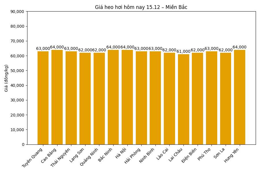 Gia heo hoi hom nay 5.12 tai khu vuc mien Bac. Do hoa: Thuy Linh