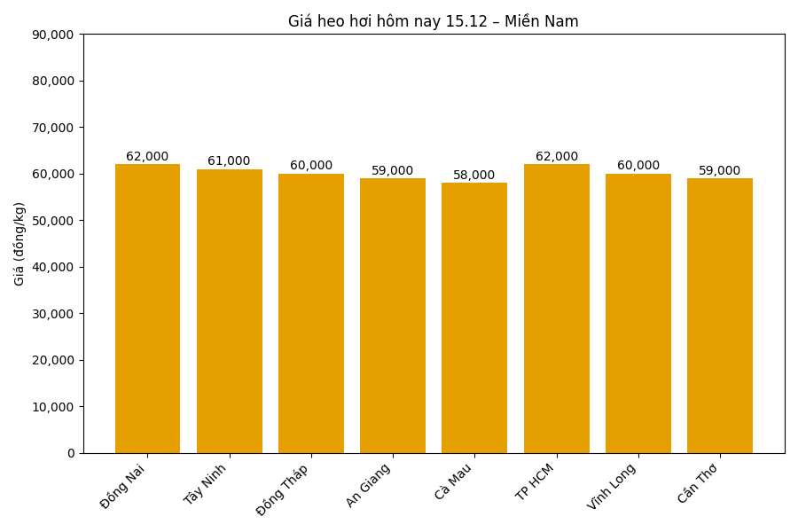 Gia heo hoi hom nay 15.12 tai khu vuc mien Nam. Do hoa: Thuy Linh