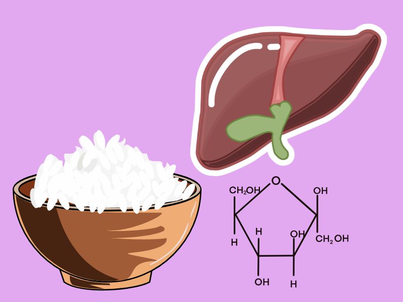 Lack of carbohydrates makes the liver and kidneys silently under metabolic pressure. Graphics: Ha May