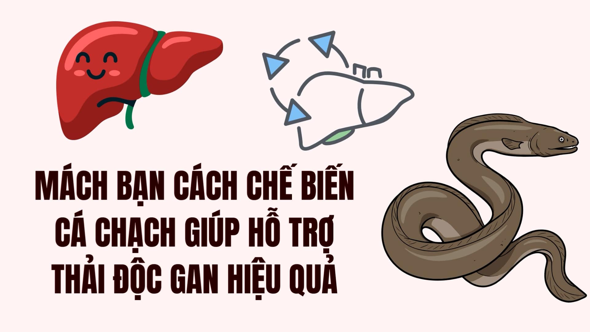 Tips on how to prepare loach to effectively support liver detoxification