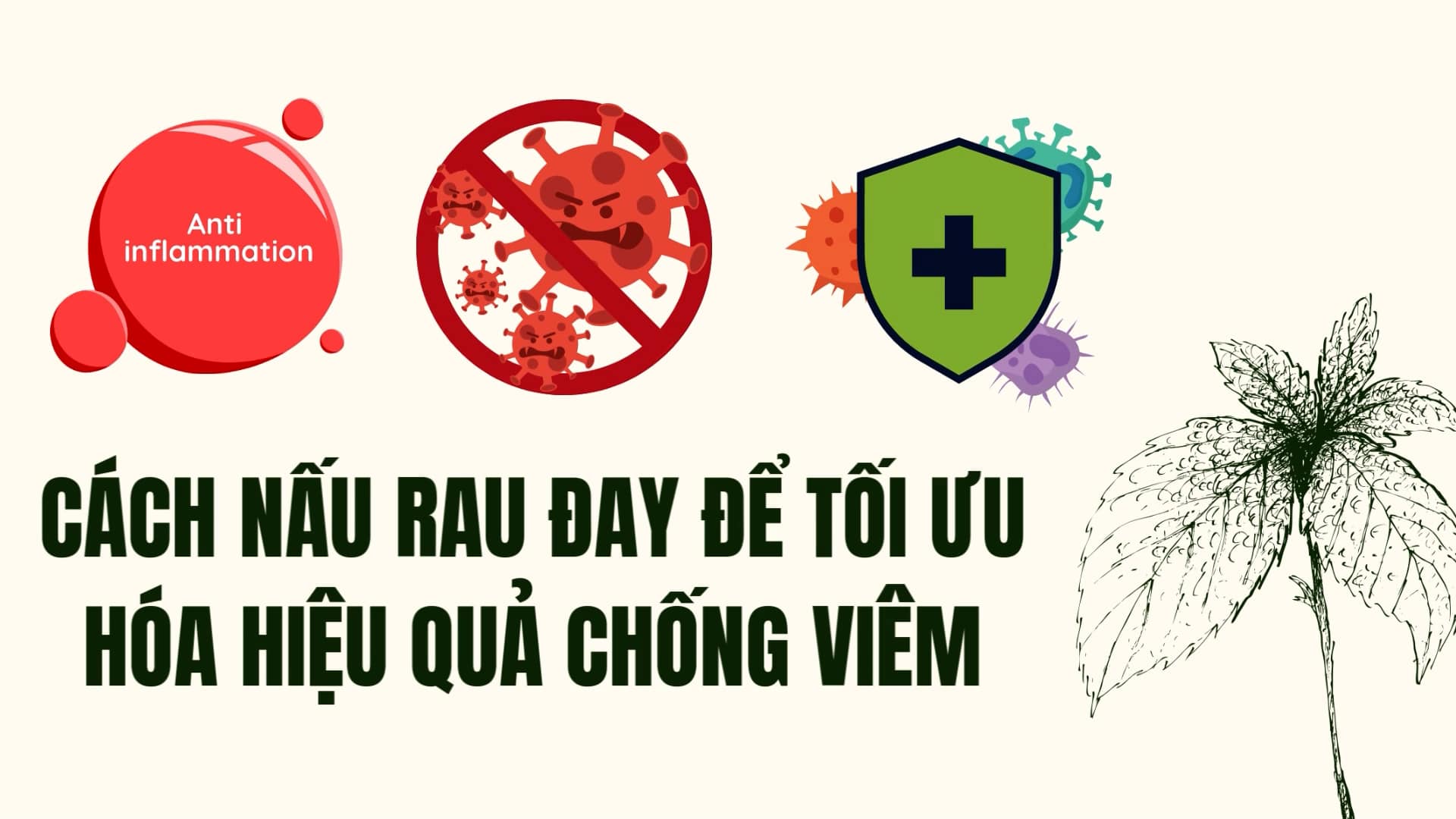 How to cook hives to optimize anti-inflammatory effects