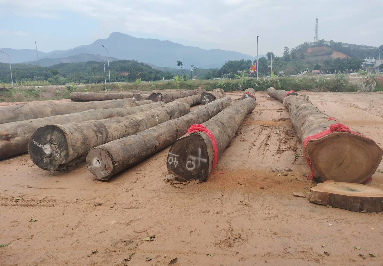 Cong tac chuan bi cho le khoi cong va tu bo dang duoc chinh quyen dia phuong trien khai. Anh: Van Duc