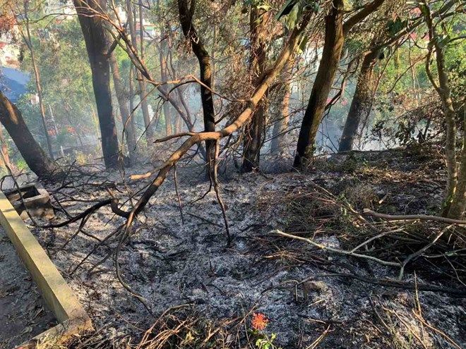Escena de un incendio forestal causado por los vecinos que tiran basura en Hai Phong. Foto: Tuyen giao Do Son