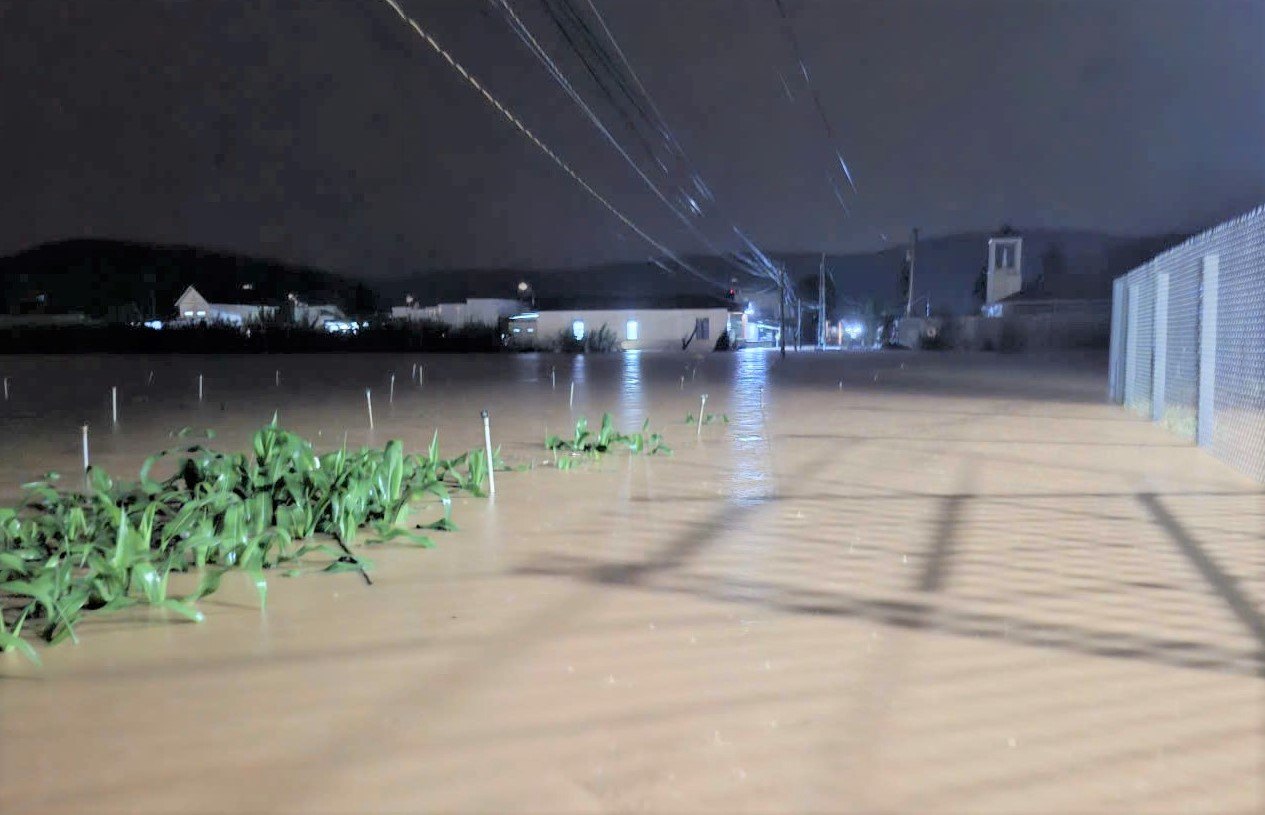 Chua day 2 thang cuoi nam 2025, vung trong hoa lay on lon nhat nuoc tai xa Hiep Thanh (Lam Dong) bi ngap sau den 5 lan. Anh: Phuc Khanh