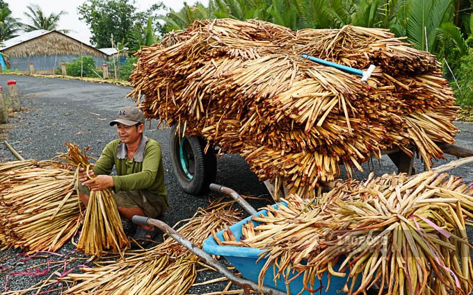 Tung bo luc binh kho duoc xu ly, phan loai truoc khi giao cho thuong lai. Anh: Phuong Anh