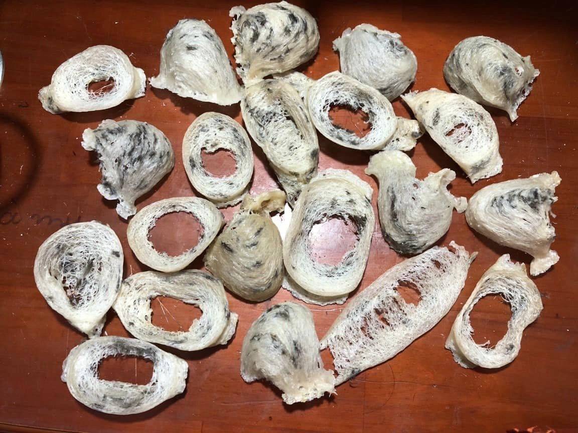 Many assets discovered are bird's nest, wood from the xowan... in Lang Son and Phu Tho provinces that are about to be auctioned. Photo: Nhat Anh