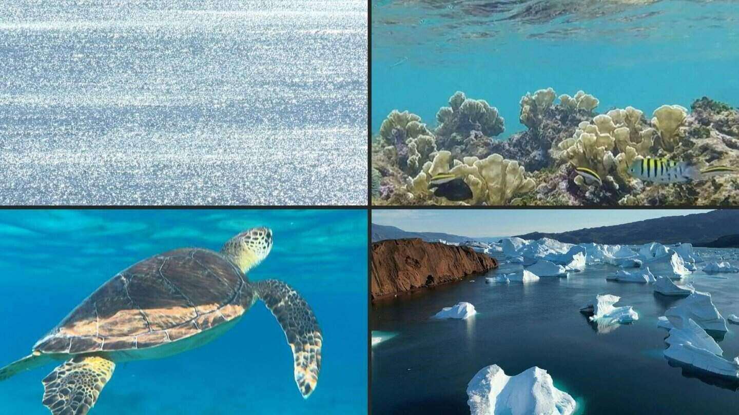 Normally, the Earth's crust will be beneath the ocean's crust. Photo: AFP