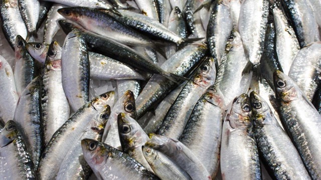 Les omega-3 sont nombreux dans le saumon le pangasius... Photo graphique : Huong Son