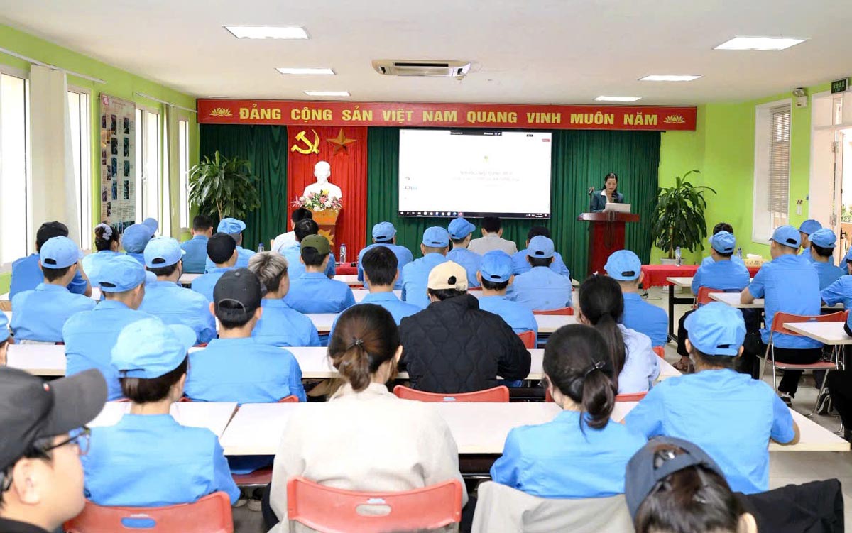 Quang canh hoi nghi. Anh: Cong TTDT Mong Cai 1