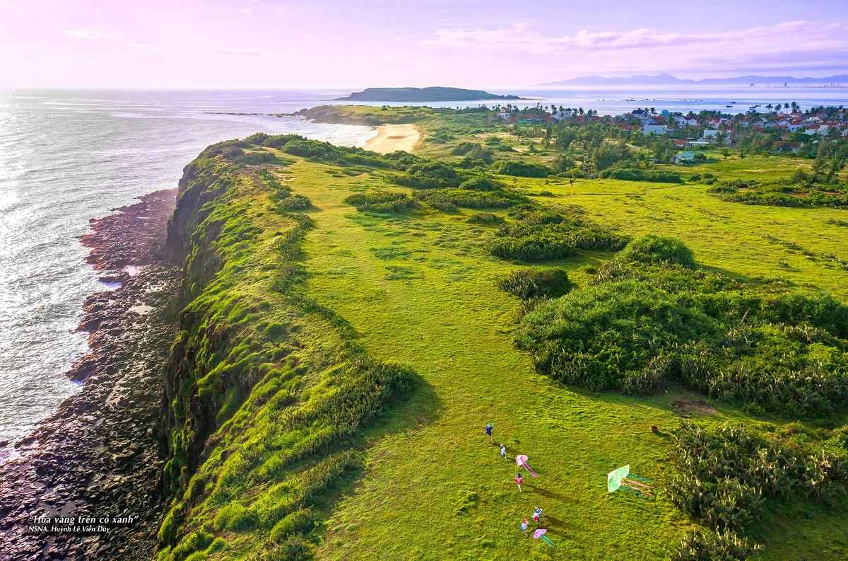 “Toi thay hoa vang tren co xanh” danh thuc du lich Phu Yen. Anh: Nha san xuat