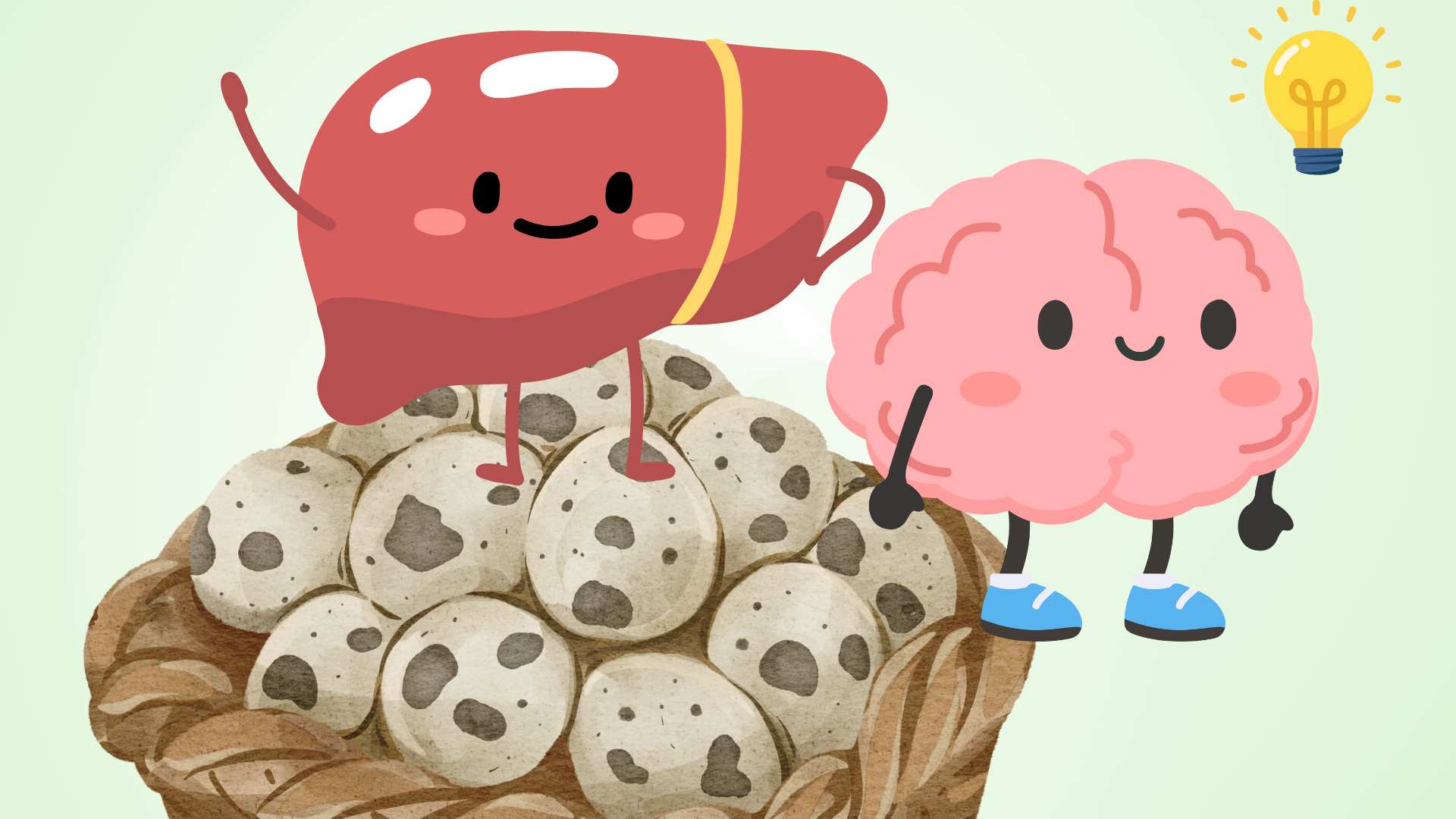 Suggestions for small, cheap eggs but are aids in healthy brains and liver