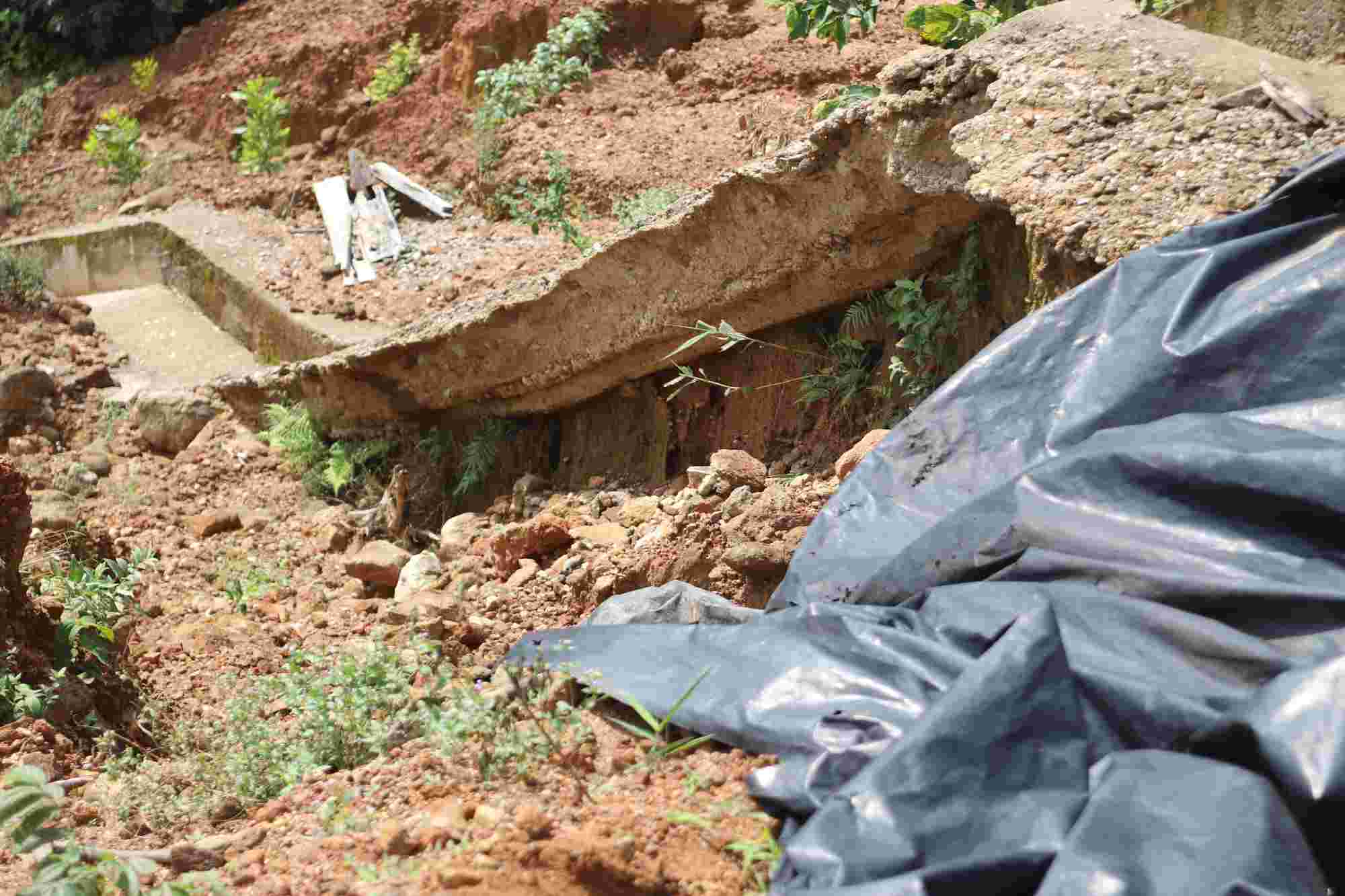 The landslide exposed the bare frog's jaw. Photo: Nguyen Luan