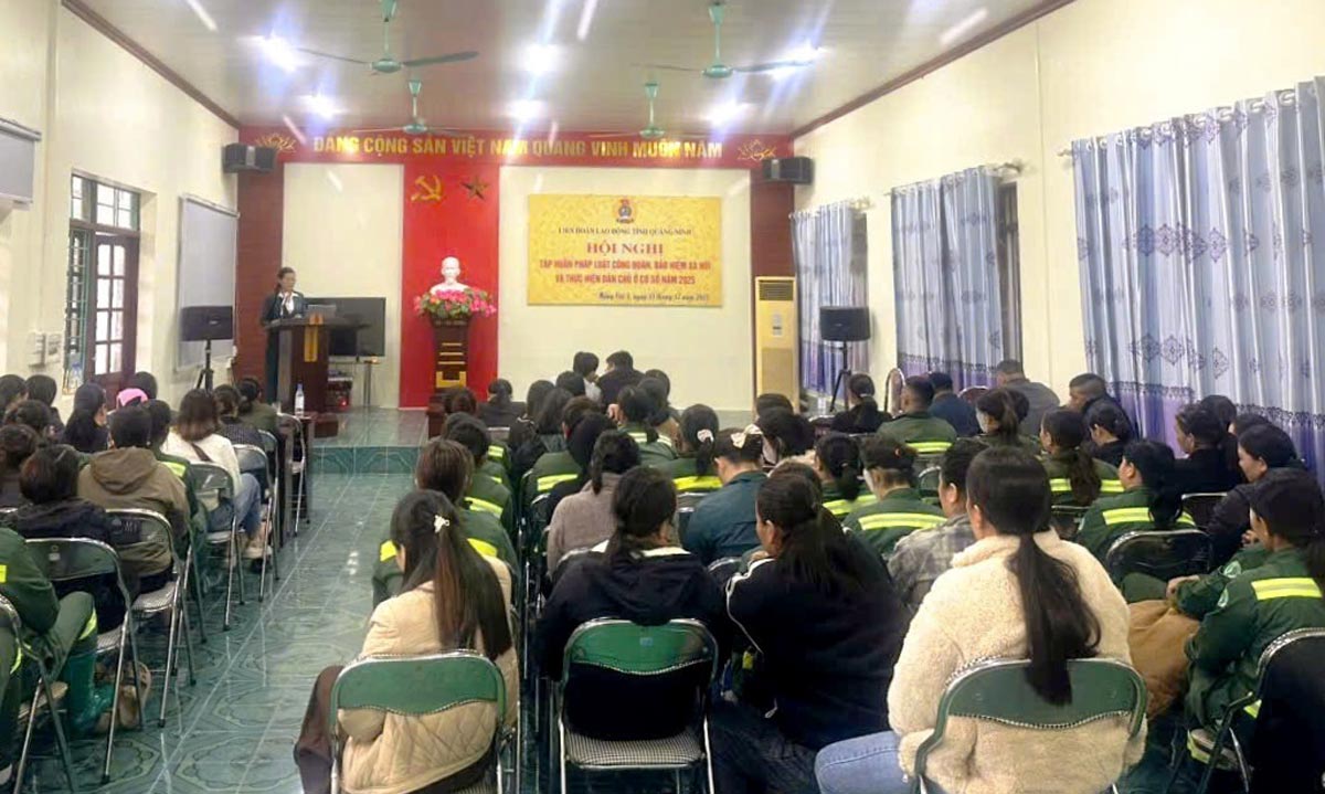 Quang canh hoi nghi. Anh: Tran Tuong