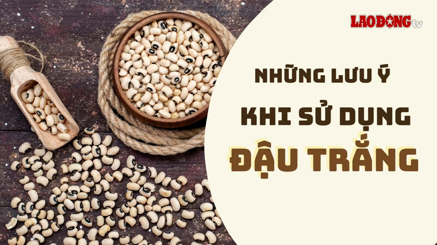 흰 강낭콩은 건강에 좋지만 많은 사람들이 주의해야 합니다