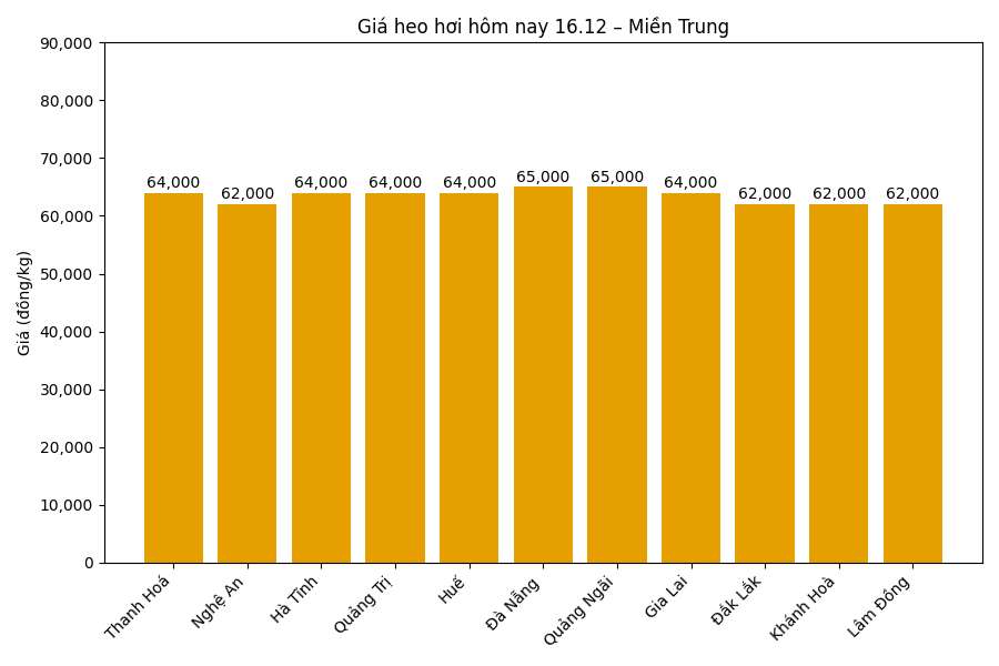 Gia heo hoi hom nay 16.12 tai mien Trung. Do hoa: Thuy Linh