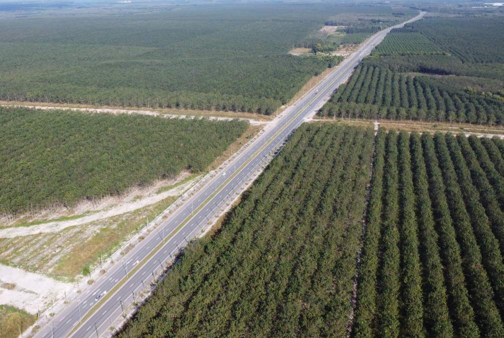 Doan ket noi voi du an cao toc TPHCM - Thu Dau Mot - Chon Thanh dang duoc xay dung. Anh: Dinh Trong