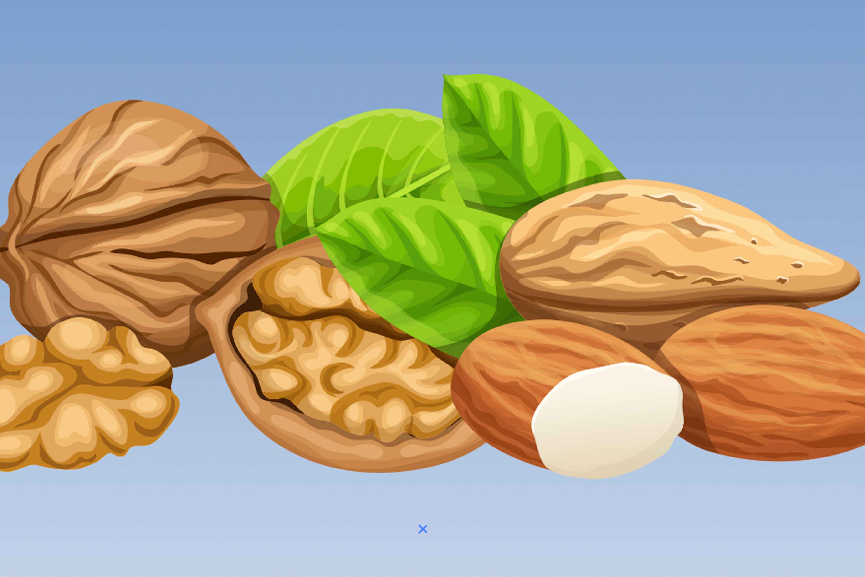 Almonds and walnuts: Essential foods for a healthy body in winter. Graphics: Thien Nhan