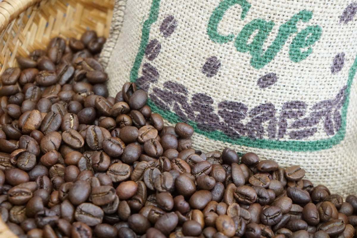 Coffee can be used to remove mold odor in the home. Photo: Thanh Thanh