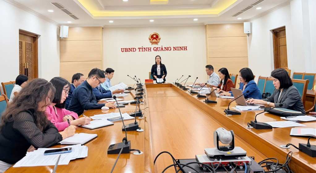 La Sra. Nguyen Thi Hanh Vicepresidenta del Comite Popular Provincial de Quang Ninh presidio el plan para establecer un Centro de Apoyo al Desarrollo de la Educacion de Integracion Publico-Privada. Foto: Cao Quynh- BQN